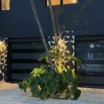 b99a1379 4482 44fc 976e e45883a6b2d3